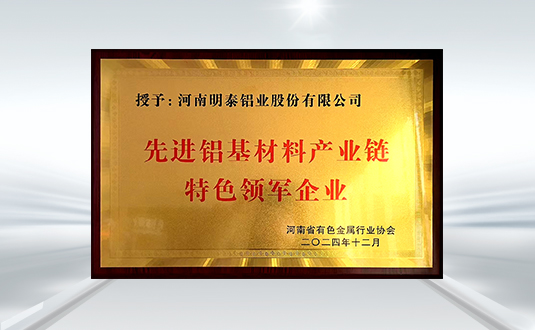 先進(jìn)鋁基材料產(chǎn)業(yè)鏈 特色領(lǐng)軍企業(yè)